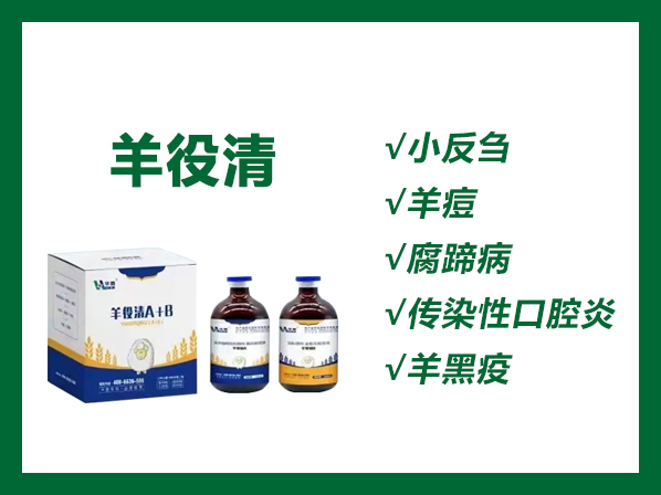 羊役清（A+B）---羊小反芻獸疫、傳染性口瘡、腸毒血癥、羔羊痢疾、羊快疫、羊黑疫、羊猝狙等的緊急預(yù)防和治療