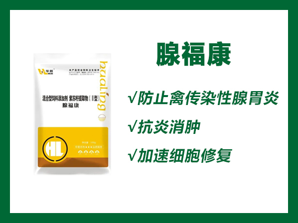 腺福康--防治禽傳染性腺胃炎，肌胃炎，具有抗炎消腫 ，加速細(xì)胞修復(fù)，促進(jìn)腸道消化吸收功能。