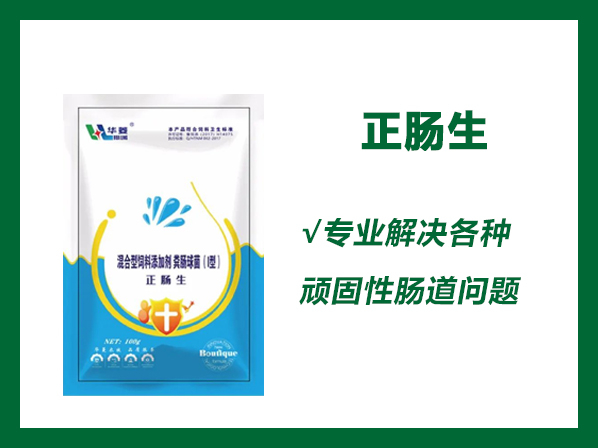 正腸生——保護(hù)腸道、解決腸炎、腹瀉、過料等各種腸道問題