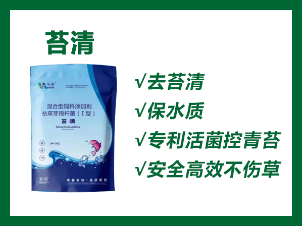 苔清---專利活菌控青苔！高效安全不傷草！