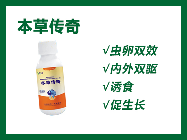 本草傳奇---小瓜蟲、輪蟲 、指環(huán)蟲、絳蟲、孢子蟲、車輪蟲