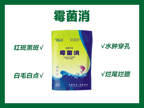 霉菌消---真菌、水霉病的天敵！