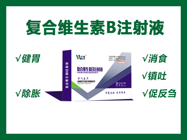 復(fù)合維生素B注射液---各種原因引起的厭食、食欲廢絕等癥