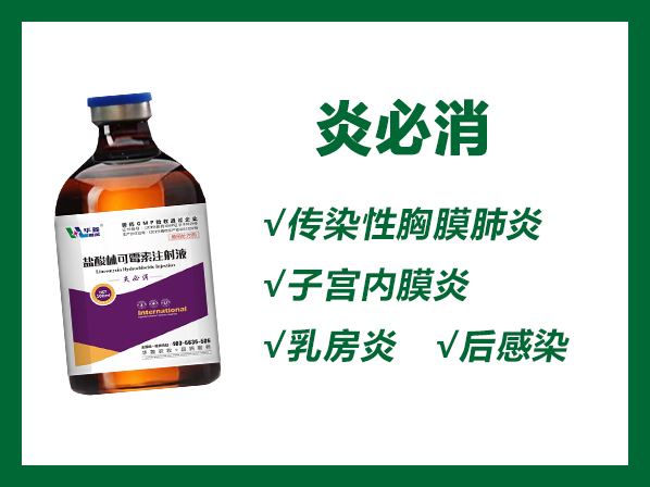 炎必消---產(chǎn)前產(chǎn)后感染；呼吸道綜合征；子宮炎、乳房炎