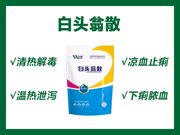 白頭翁散----清熱解毒、涼血止痢、溫熱泄瀉、下痢膿血
